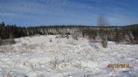 IMG_4777.jpg, 24kB